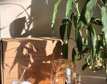 Wax Melt Glass Set Color